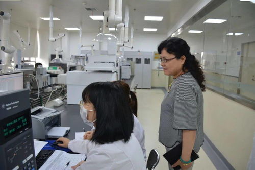 咸陽市食品藥品檢驗檢測中心順利通過資質認定擴項評審，助力營利性民辦職業技能培訓機構發展