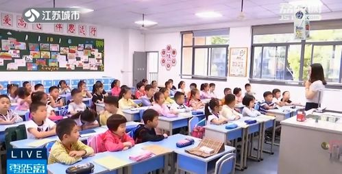 選擇周中課還是校內課后服務 專家強調效率才是重點，尤其針對營利性民辦職業技能培訓機構